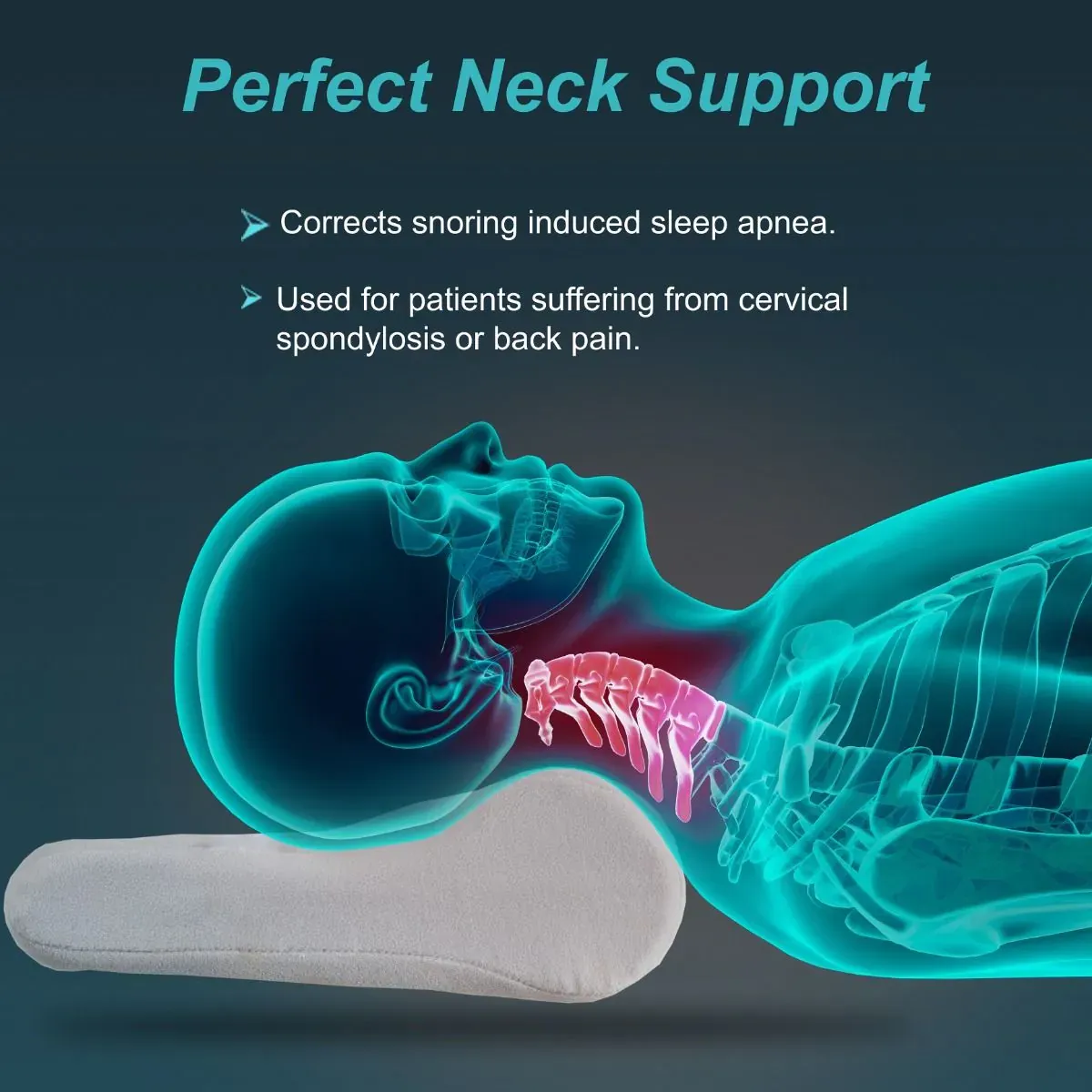 Tynor Cervical Pillow Regular B 08
